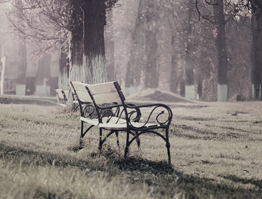 Description shows here